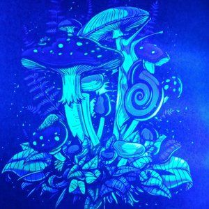 Mushroom cluster Blacklight print